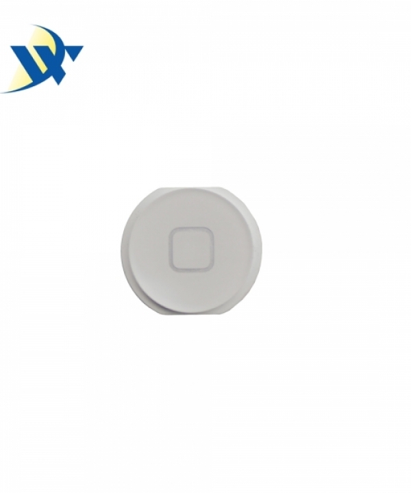 iPad Air Home Button White