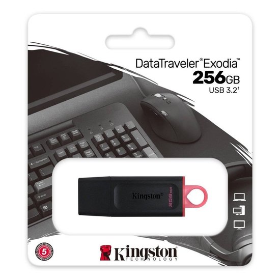 Kingston Exodia 256GB USB Stick 3.2 Flash Drive