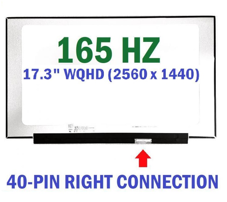 NE173QHM-NY2 QHD 165HZ 17.3 40Pins Laptop screen