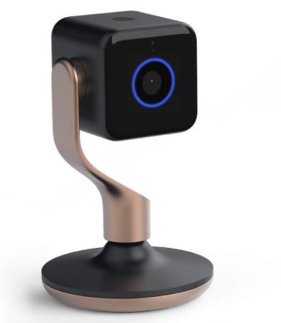 Hive View Indoor Security Camera - Black and Brushed Copper